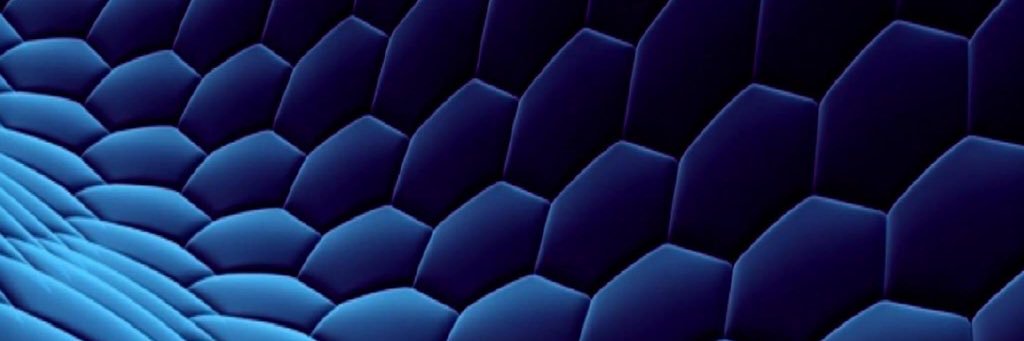 maputo's profile banner image