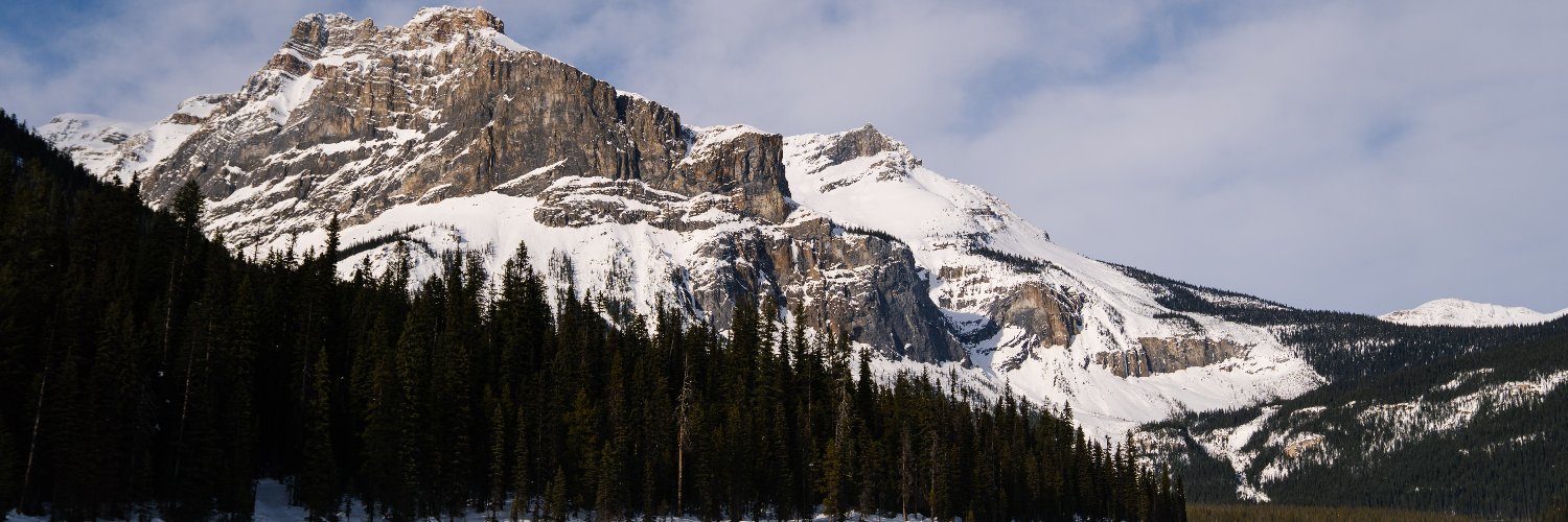 pnYoho's profile banner image