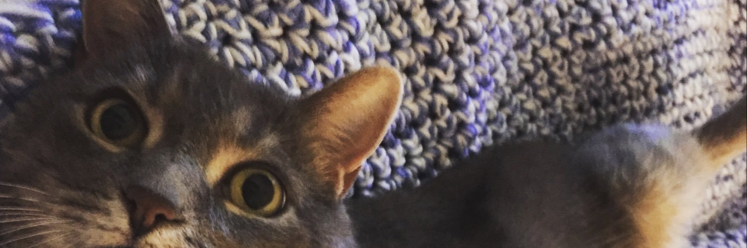 theonlyevelyn's profile banner image