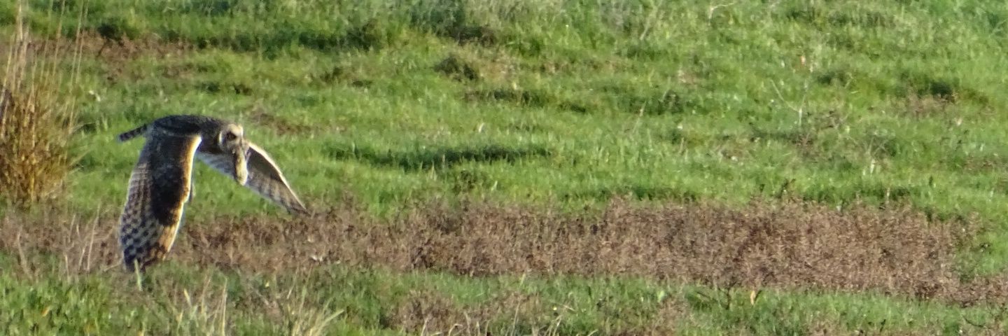 lorrainebirder's profile banner image