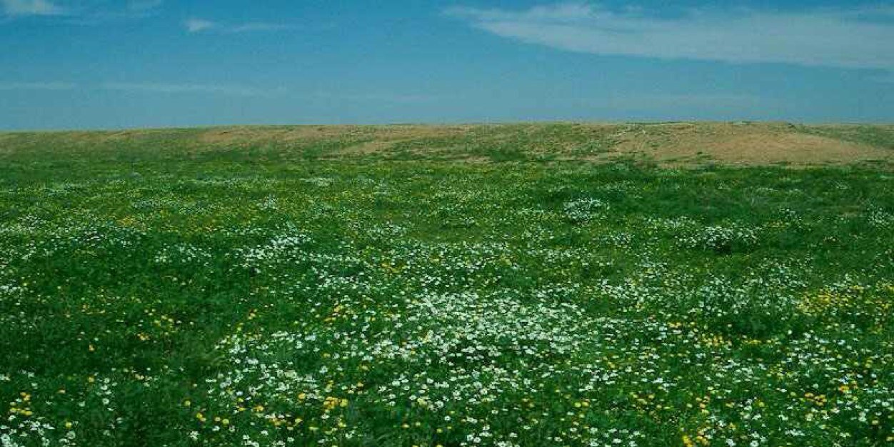 مرزوق عبدالله بن شبلان المطيري banner