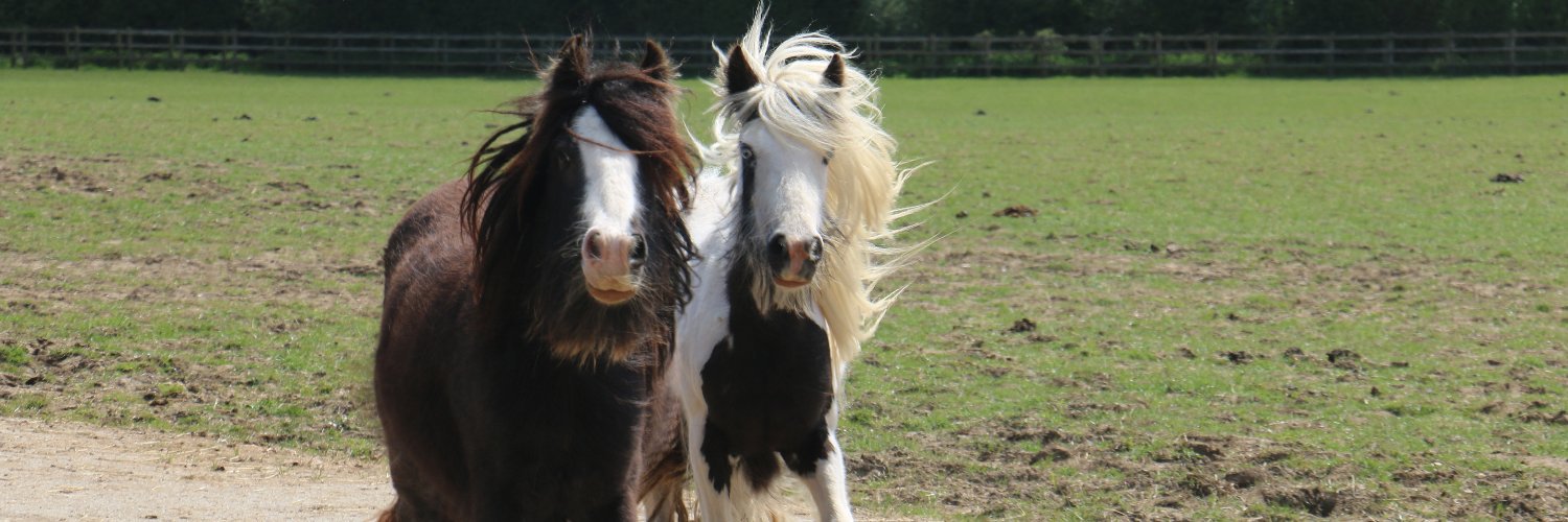 Andie McPherson banner