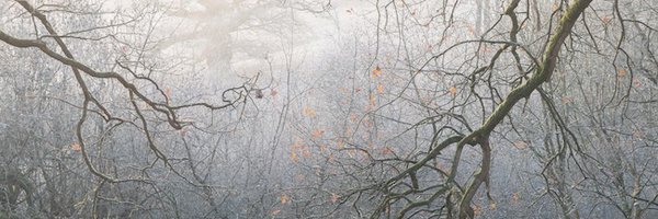 mywelshpool Profile Banner
