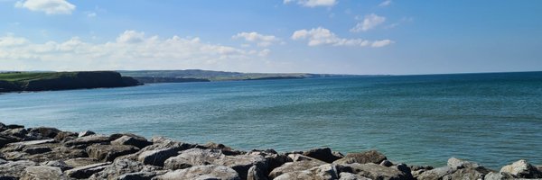 Laurakorb Profile Banner