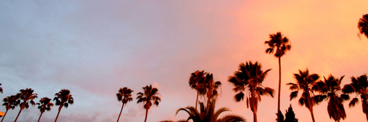 faceli14's profile banner image