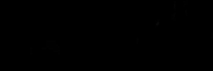 svhhun's profile banner image