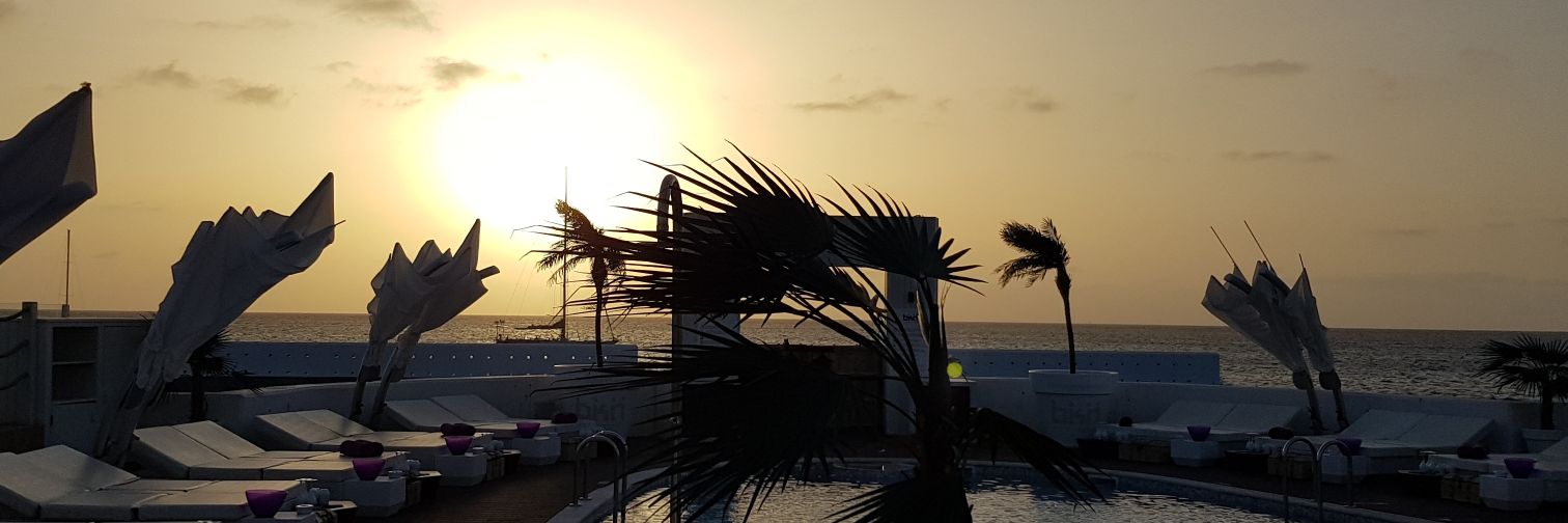 palmscaff's profile banner image