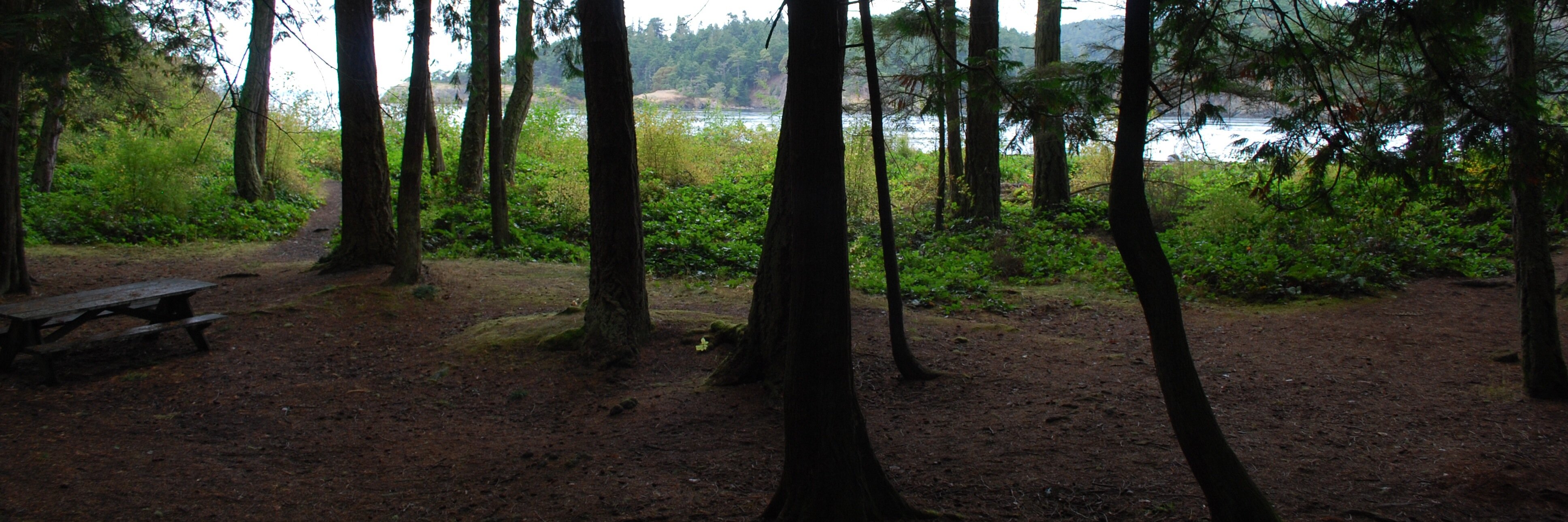jjstone_writes's profile banner image