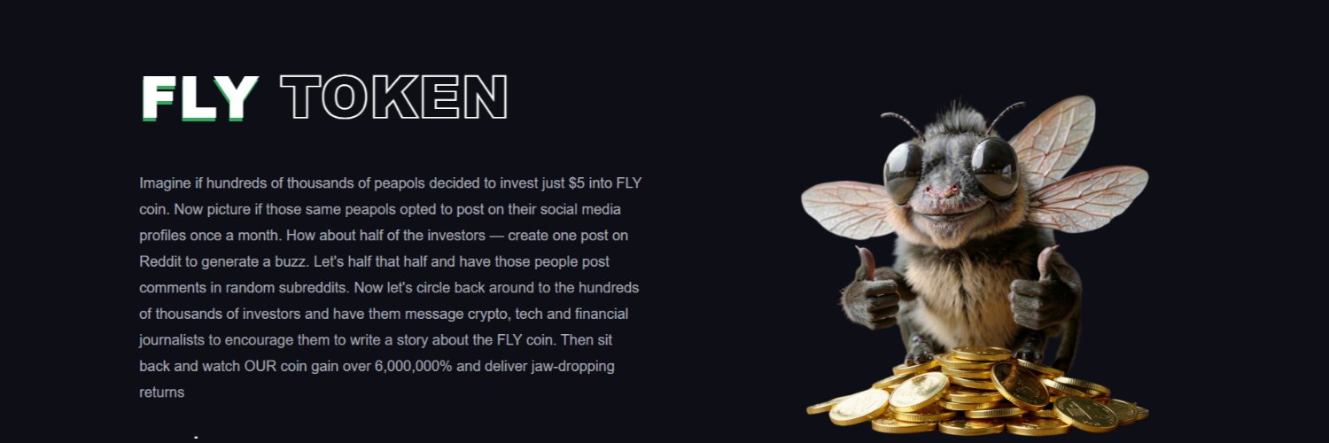FLYcoin.fun banner