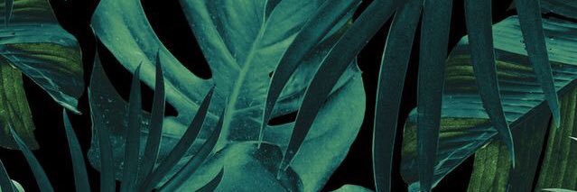 themegangoncher's profile banner image
