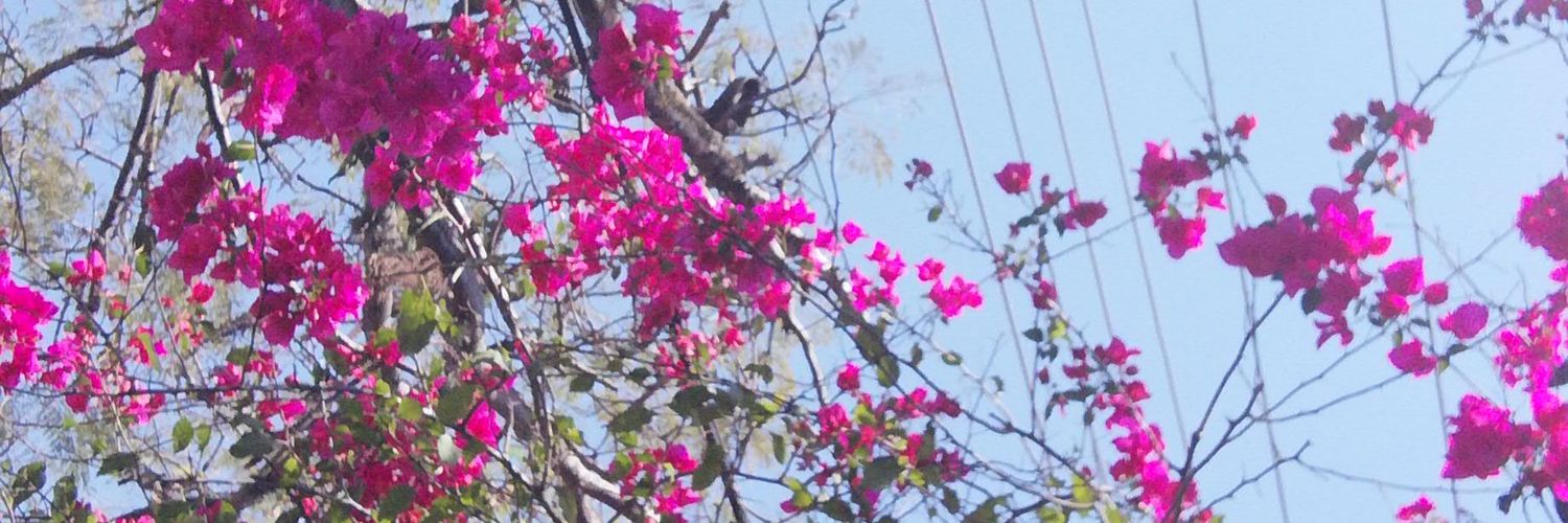 SahianCh's profile banner image