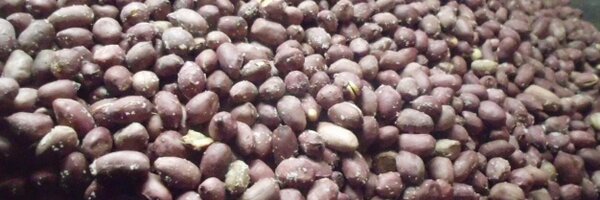 razvigor Profile Banner