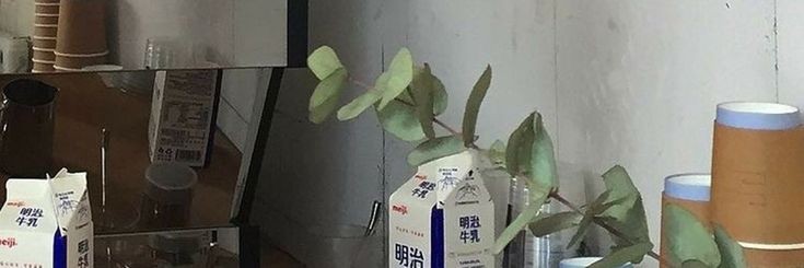 chaojtic's profile banner image