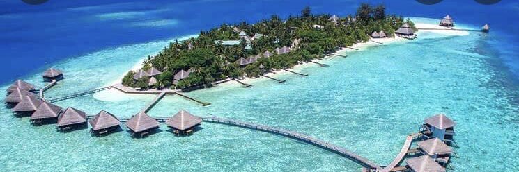 Roël Calister banner