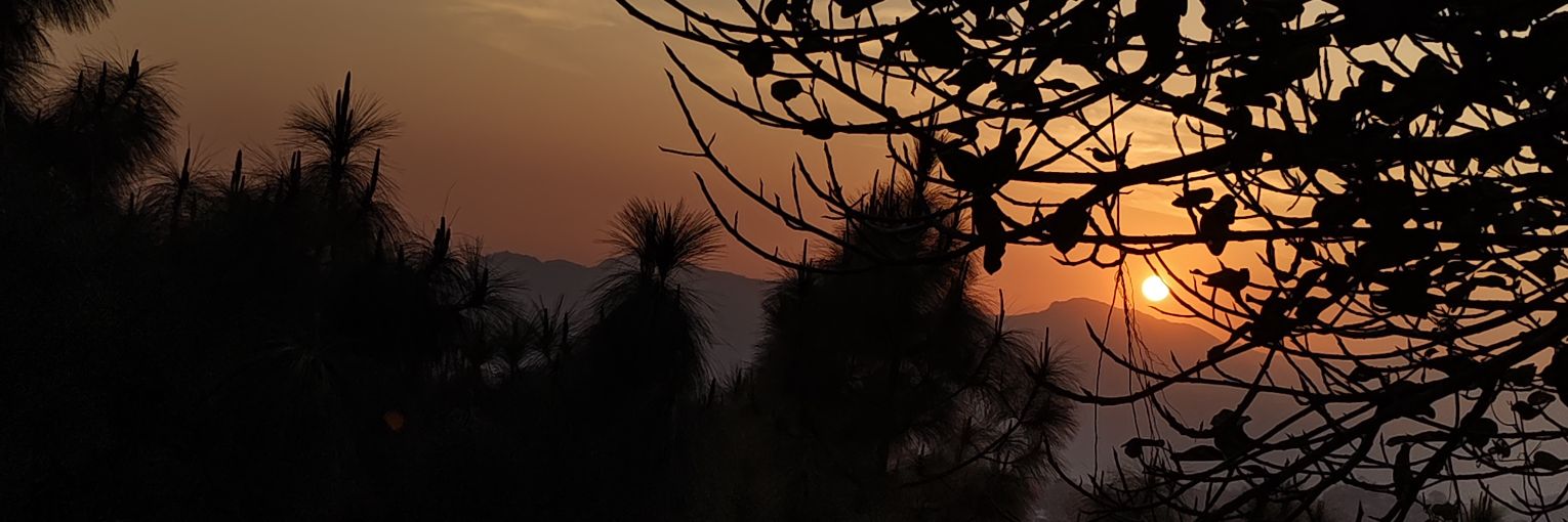sigdelmanis's profile banner image
