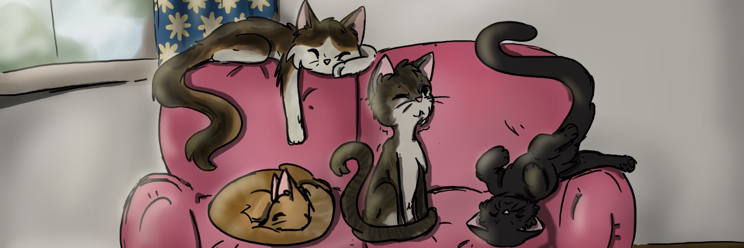 VKNask's profile banner image