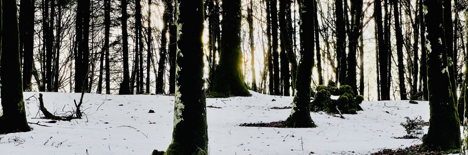 bejuzza's profile banner image