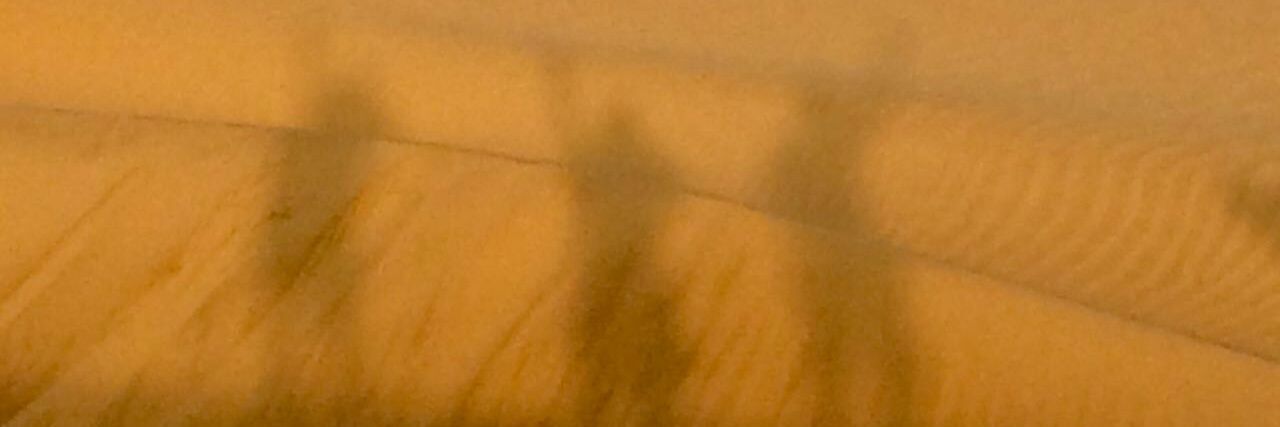 ademister's profile banner image