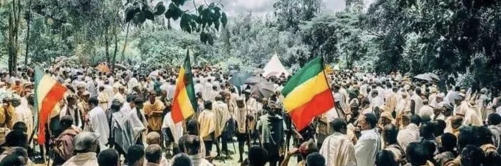 Meklit Mintesinot banner