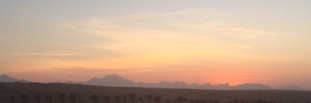 logyne_emad's profile banner image