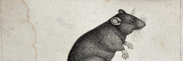 visualplague Profile Banner