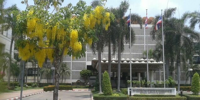 thailandnih's profile banner image