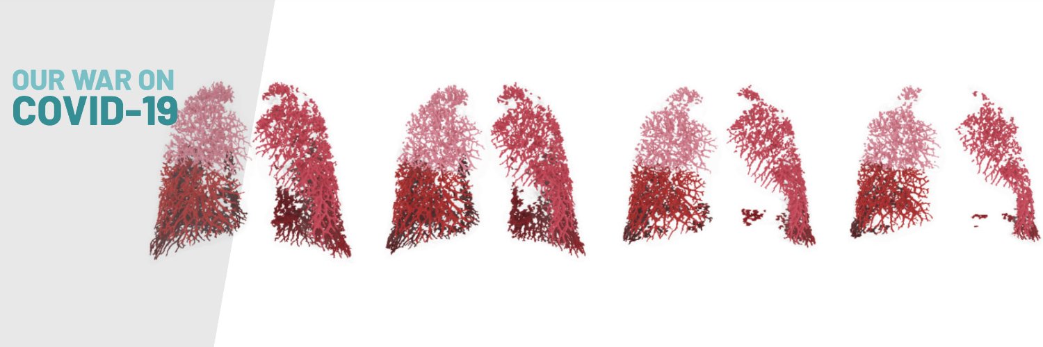 Jan De Backer banner