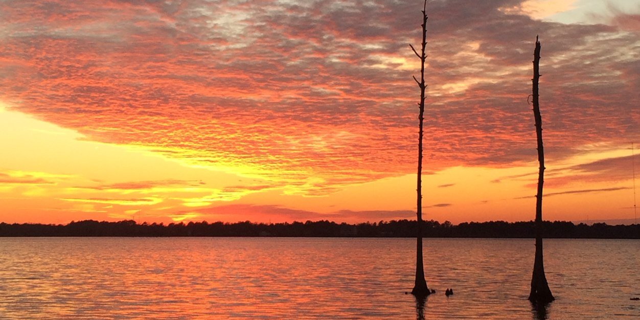 ncbeachbum's profile banner image