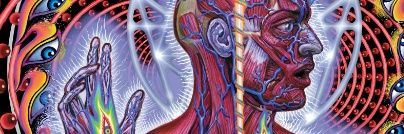 Contemplating Crypto banner