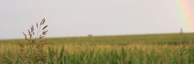 Xavier_R_Lewis's profile banner image