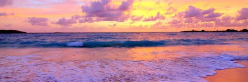 arialeh's profile banner image
