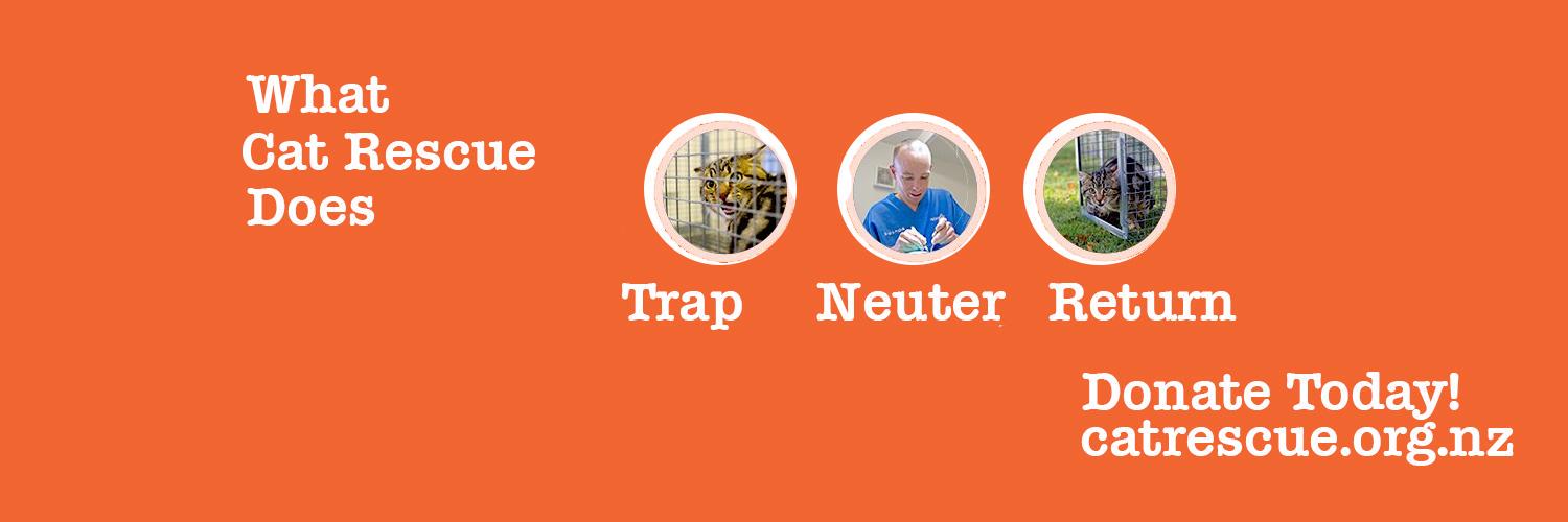CatRescueChch's profile banner image