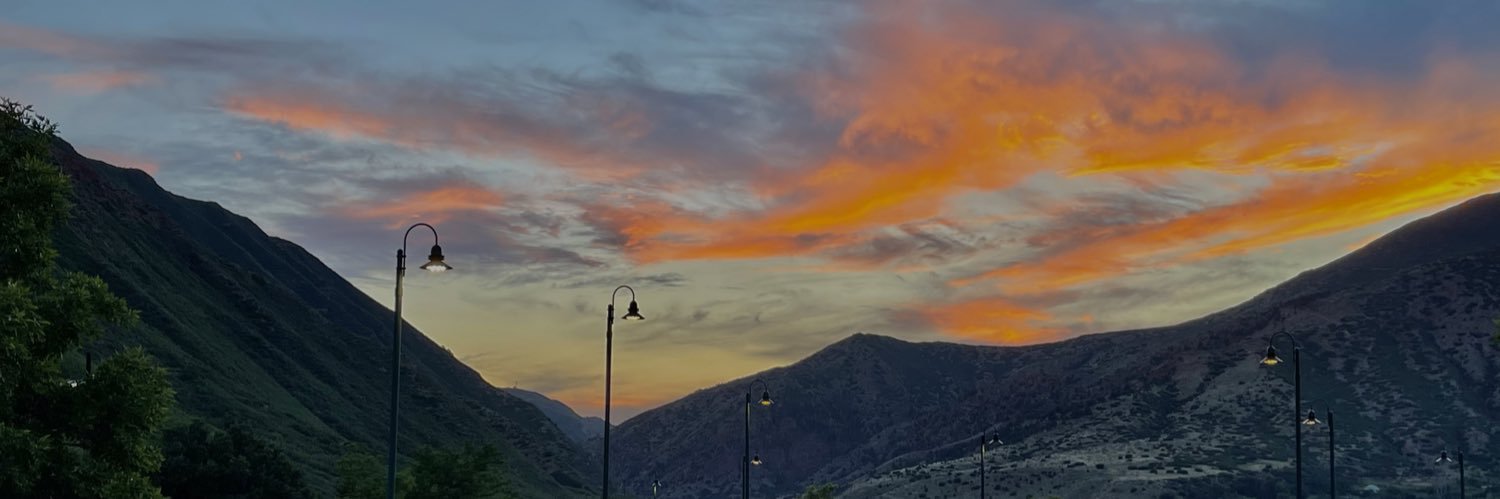 Ilovecheeese's profile banner image