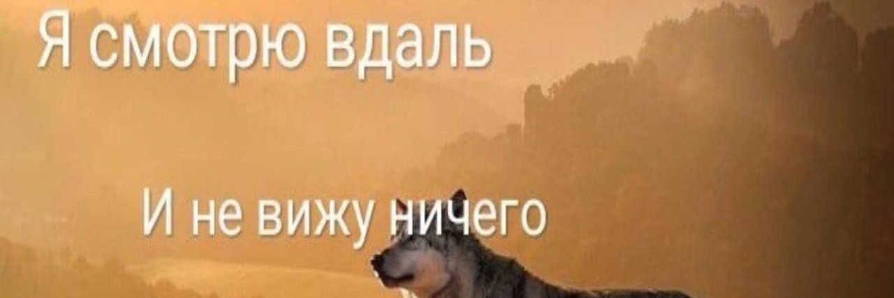 nhtmn's profile banner image
