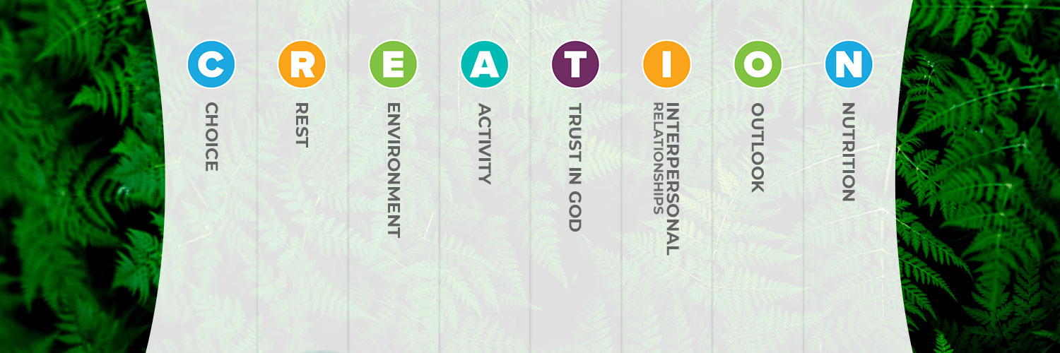 OurCREATIONLife's profile banner image