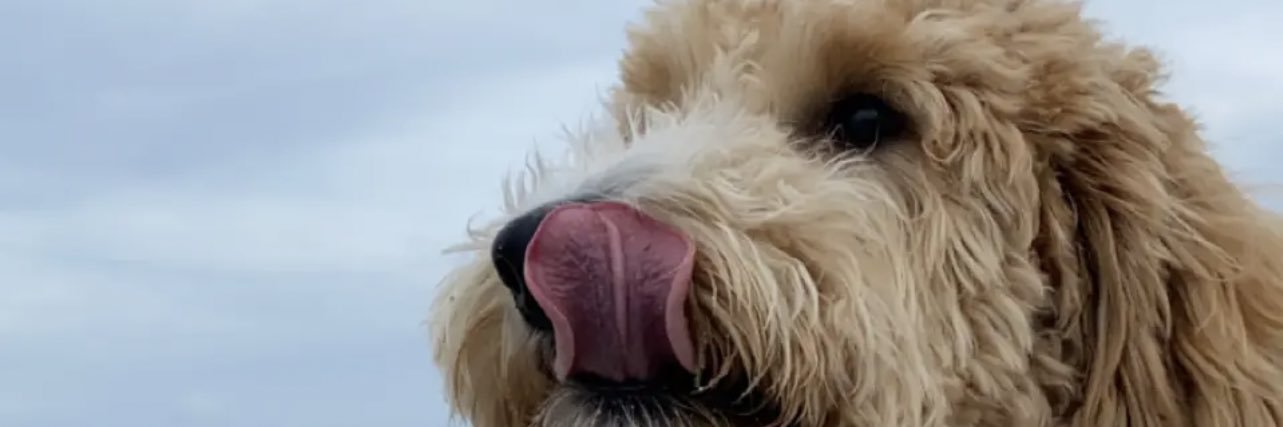 TopShelfSheen's profile banner image