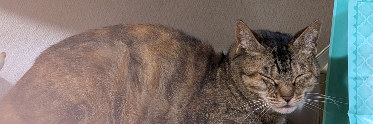 mukakin5's profile banner image