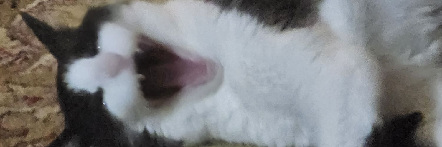 SFLDOJO | Ferrerobeh banner