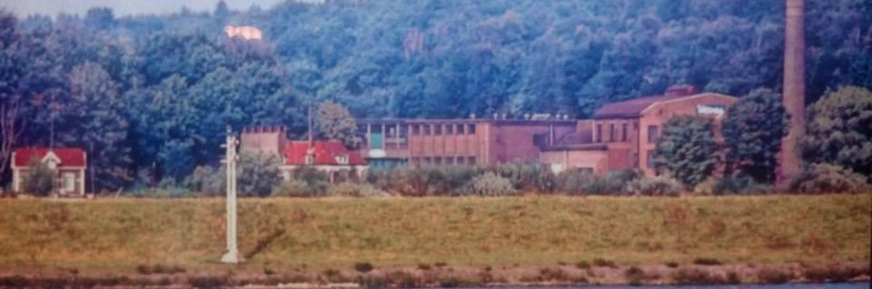 Bert van der Woerd banner