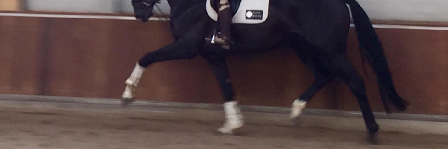 Bretton Woods banner