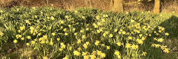 robdavidson74 Profile Banner