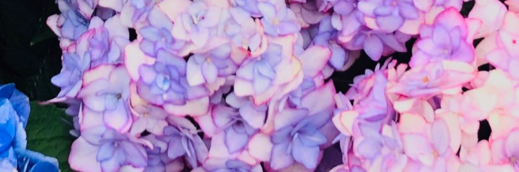 FuwaAyy's profile banner image