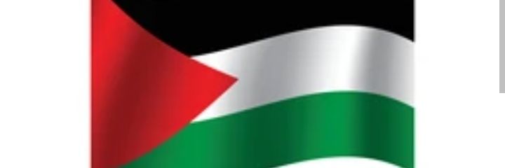 Alfredo Díaz Cardiel Udaondo 🇵🇸 banner