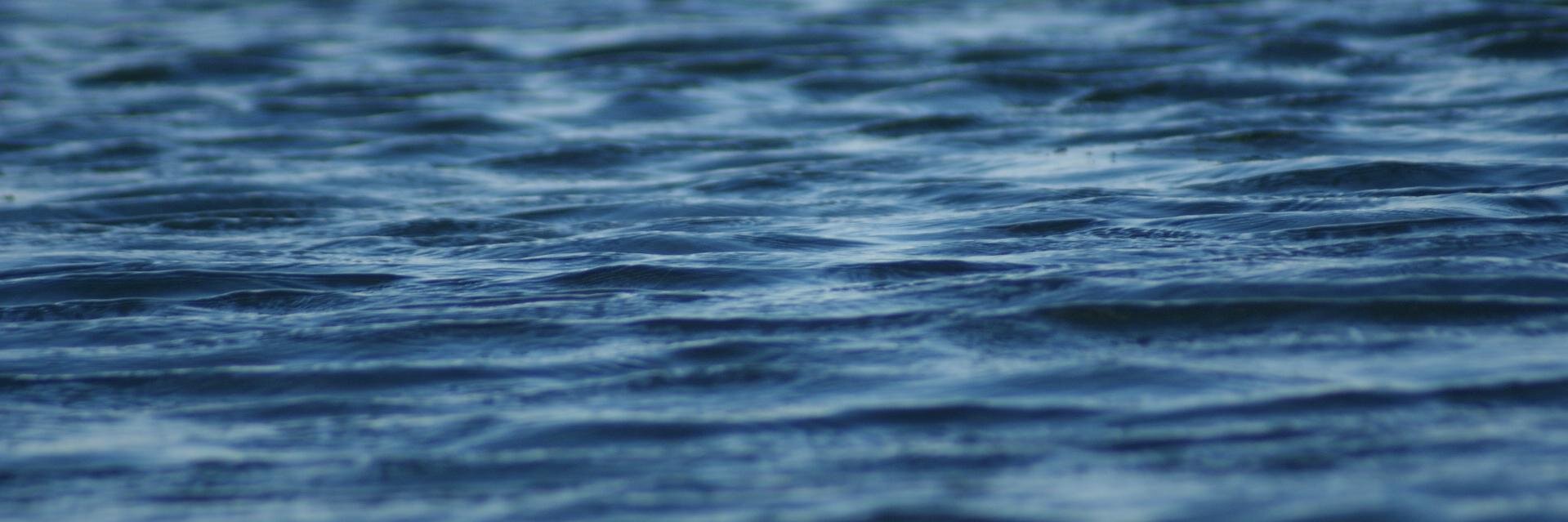 ffrmpr's profile banner image