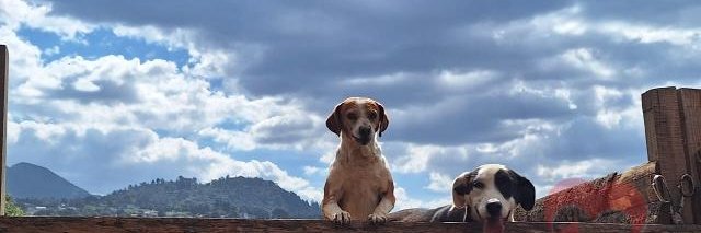 wewecha's profile banner image