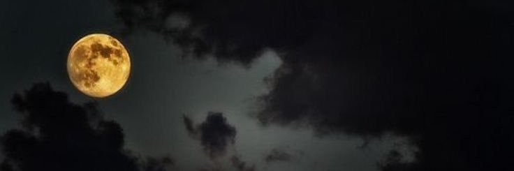 mxgstxne's profile banner image
