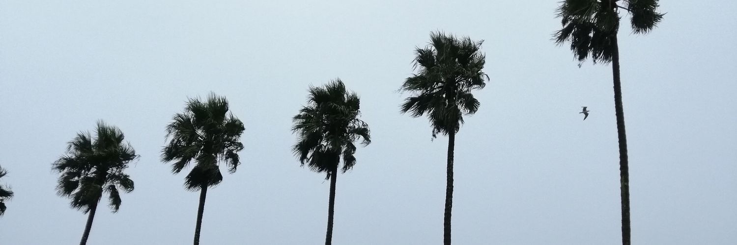 energeticbubbl's profile banner image