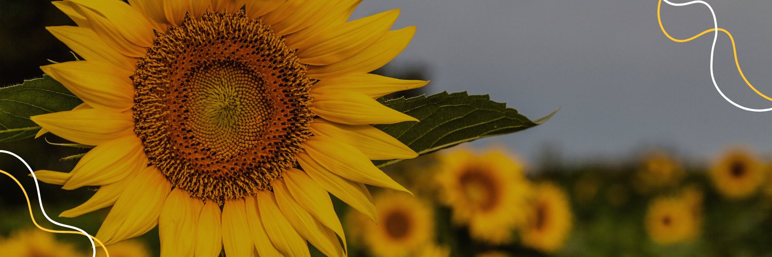 Johnson County Mental Health Center banner