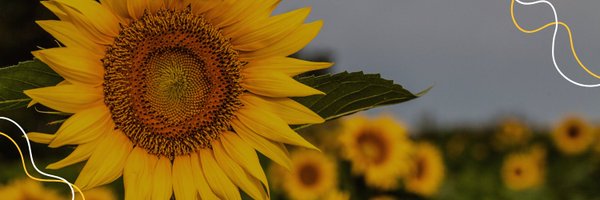 JOCOMNH Profile Banner
