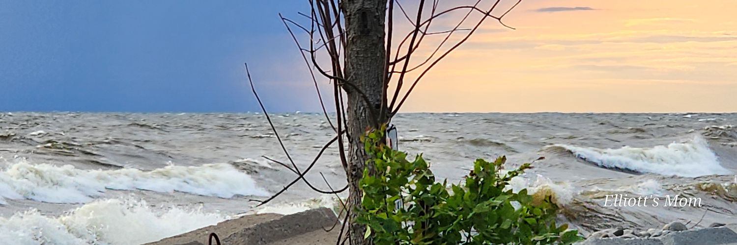MrsE88's profile banner image